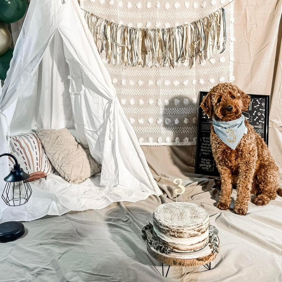 Boho pillow cover - Picture 5 of 5